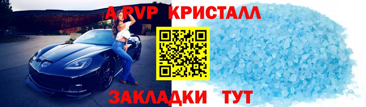 A PVP СК КРИС Новоалександровск