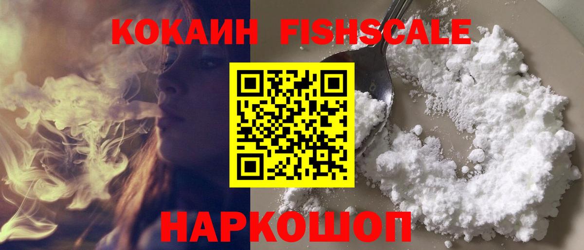 КОКАИН Fish Scale  Cocaine 97%  где можно купить наркотик  Новоалександровск 