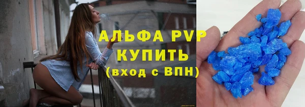 ECSTASY Магас