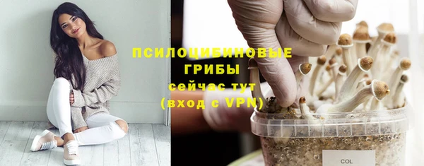 ECSTASY Магас
