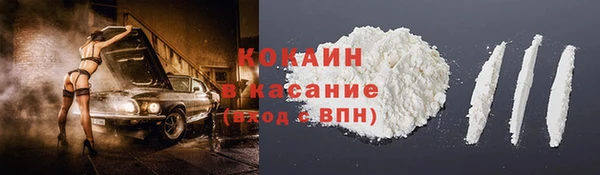 индика Орск