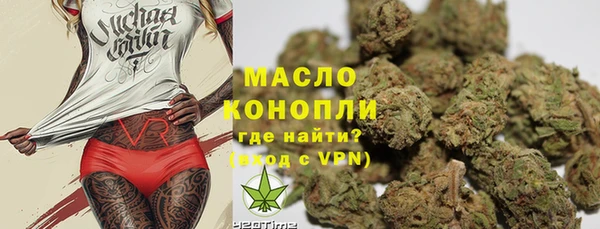 индика Орск