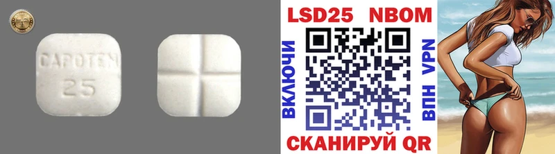 магазин продажи наркотиков  Новоалександровск  LSD-25 экстази кислота 