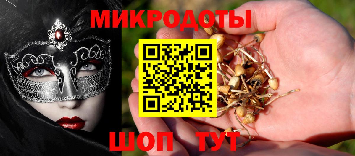 Новоалександровск  Галлюциногенные грибы прущие грибы  Вход с VPN  закладка  Псилоцибиновые грибы прущие грибы 