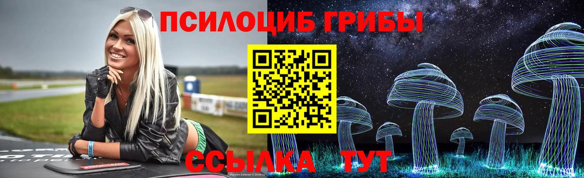 Галлюциногенные грибы мухоморы Новоалександровск