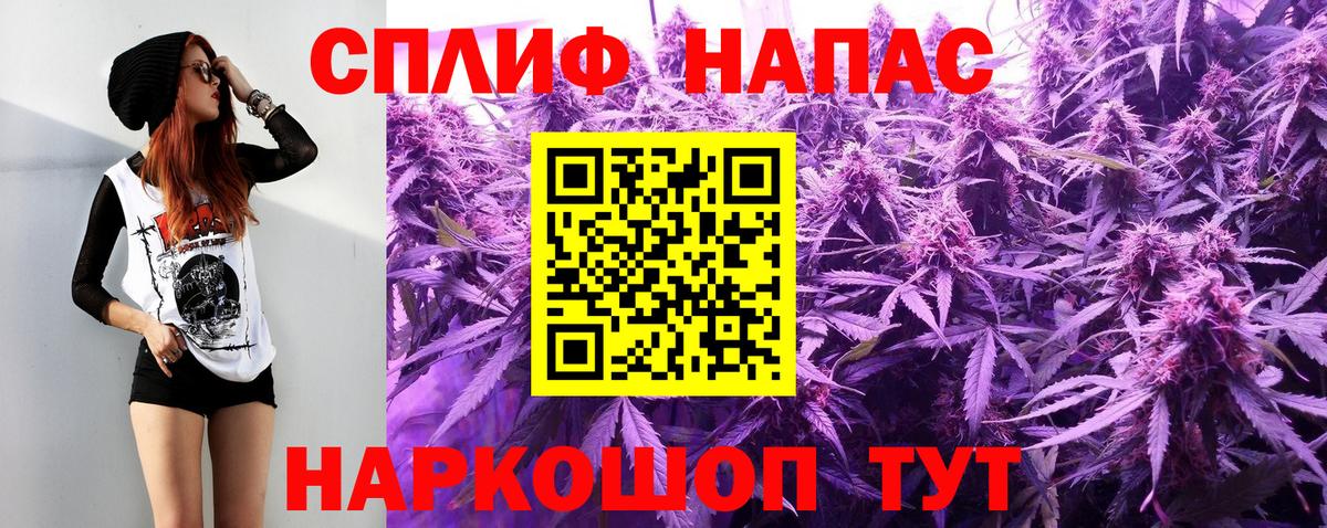 A-PVP  CBD масло  Диски  Мяу-Мяу  Гашик  Метамфетамин  Cocaine  Канабис  Вход с VPN  НБОМе  Новоалександровск  Меф 